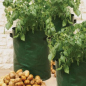 Preview: Potato Planter
