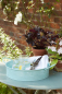 Preview: Sophie Conran Tray - Blue
