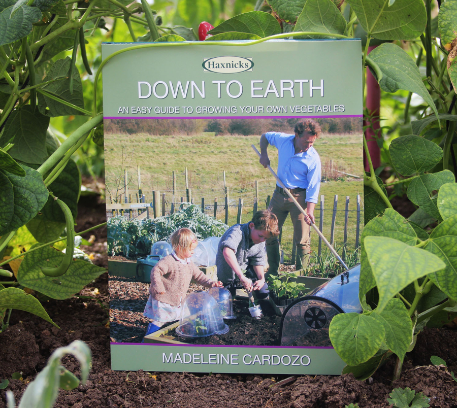 Down to Earth - eine einfache Anleitung zum eigenen Gemüseanbau