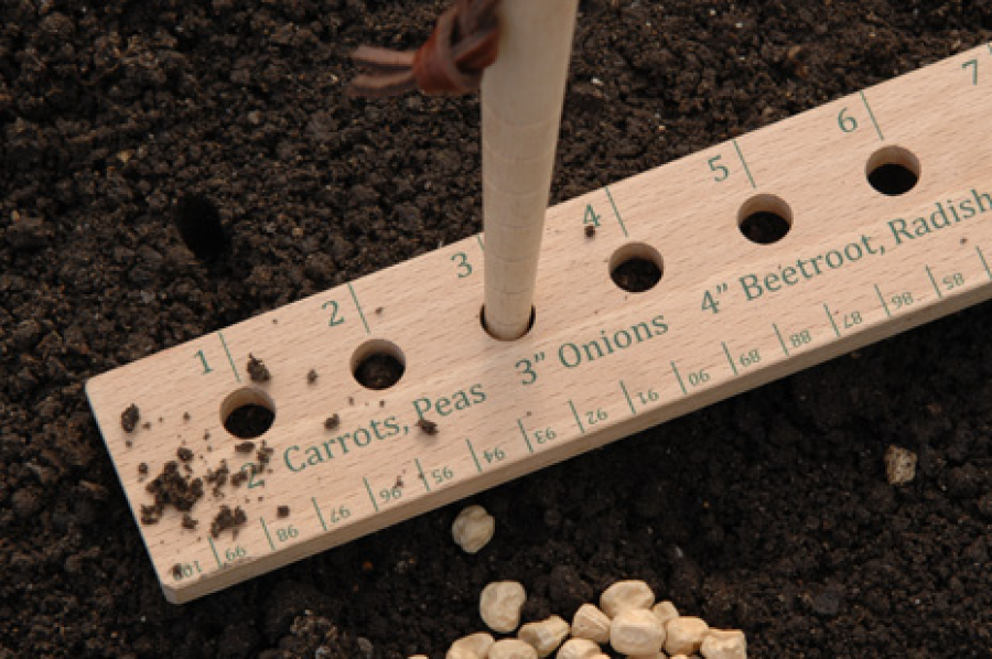 Seed & Plant Spacing Rule
