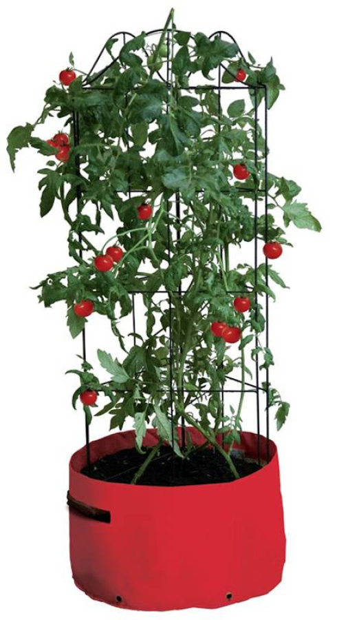 Tomato Climbing Planter