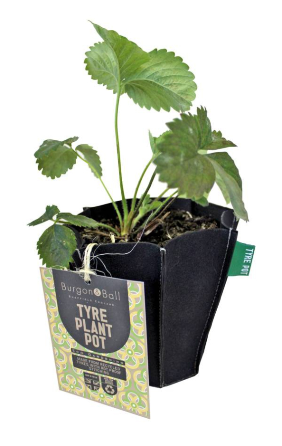 Eco Tyre Plant Pot